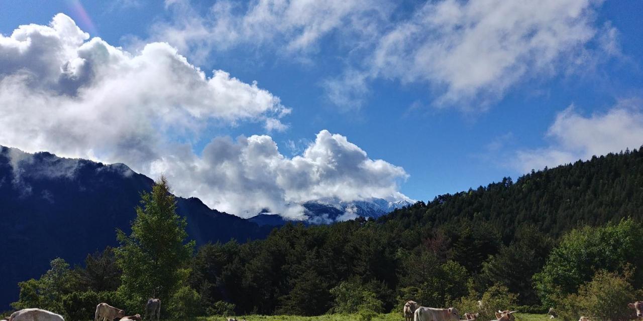 Отель Bordes Pirineu, Costuix Areu Экстерьер фото