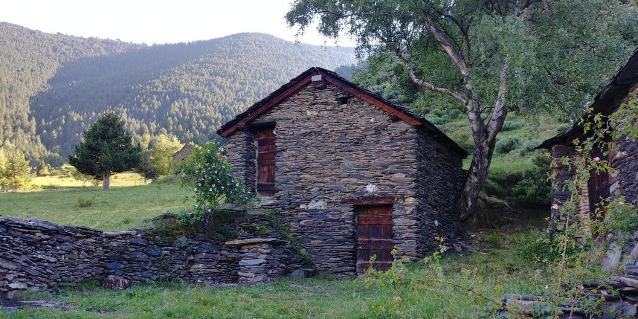 Отель Bordes Pirineu, Costuix Areu Экстерьер фото